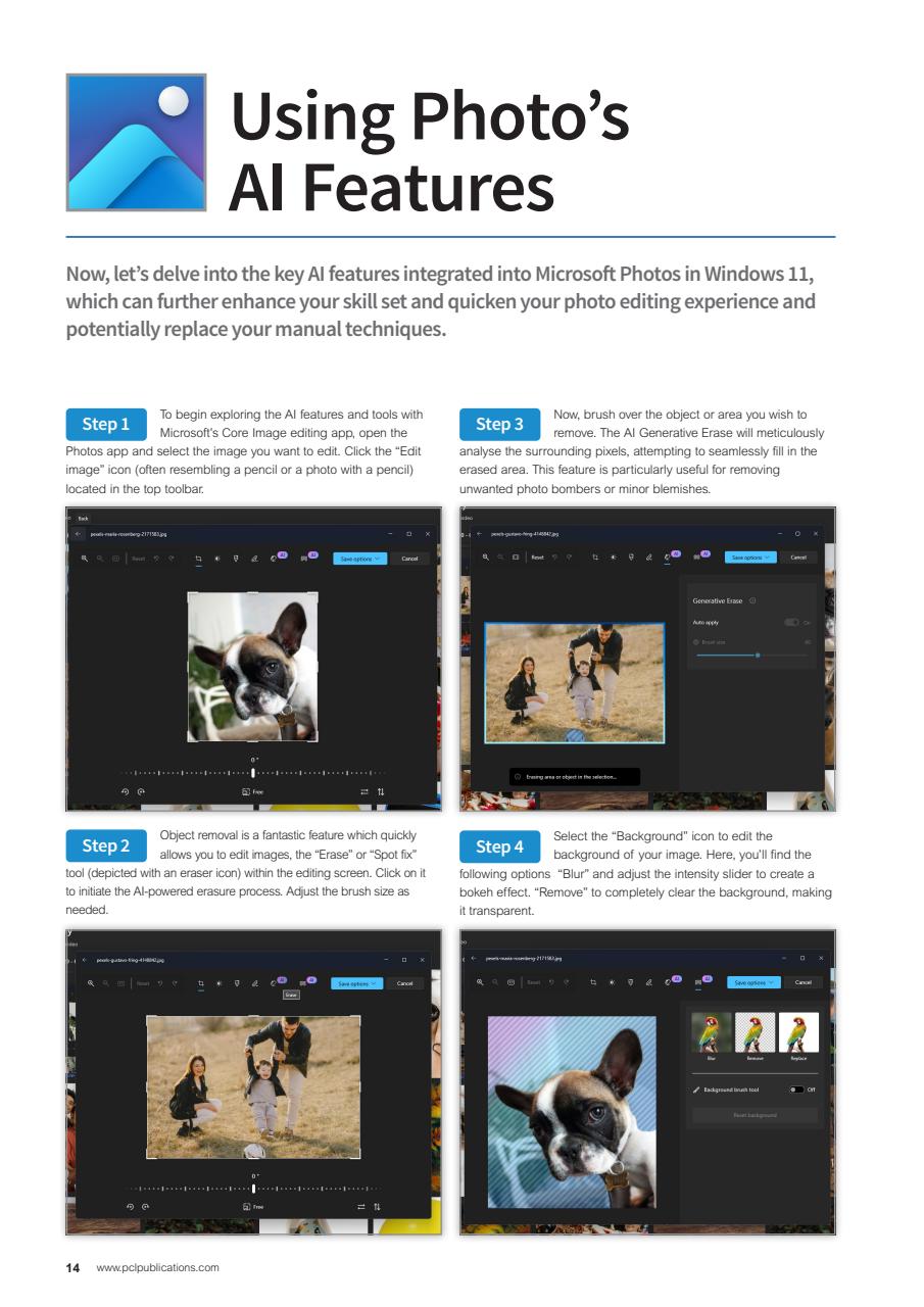 Windows User Preview Pages