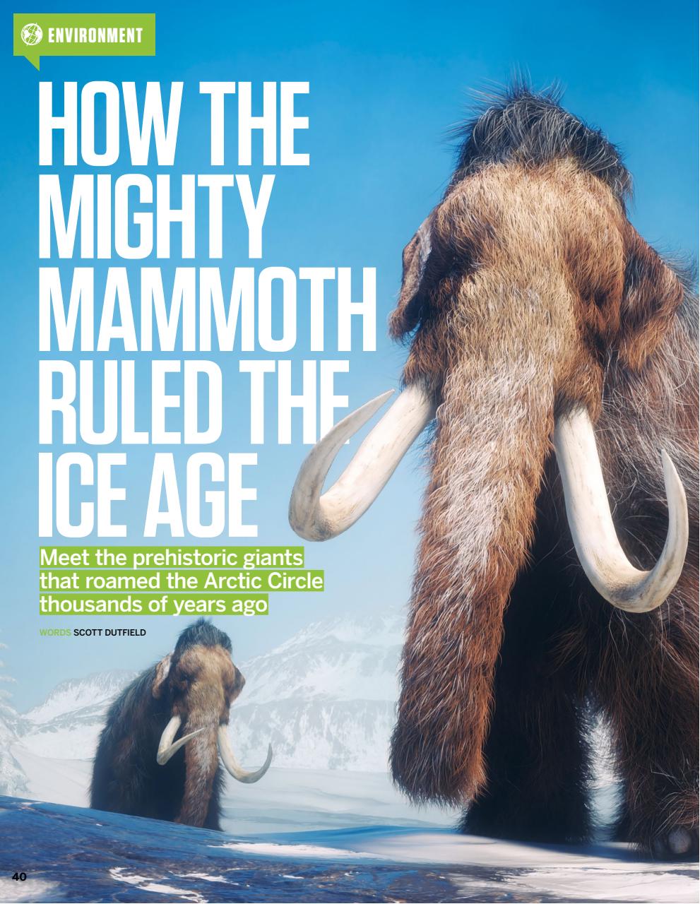 How It Works Preview Pages