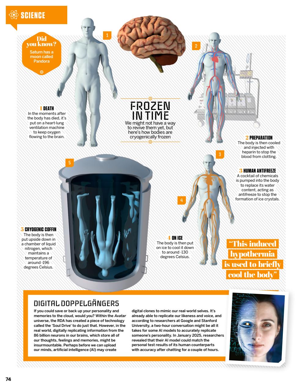 How It Works Preview Pages