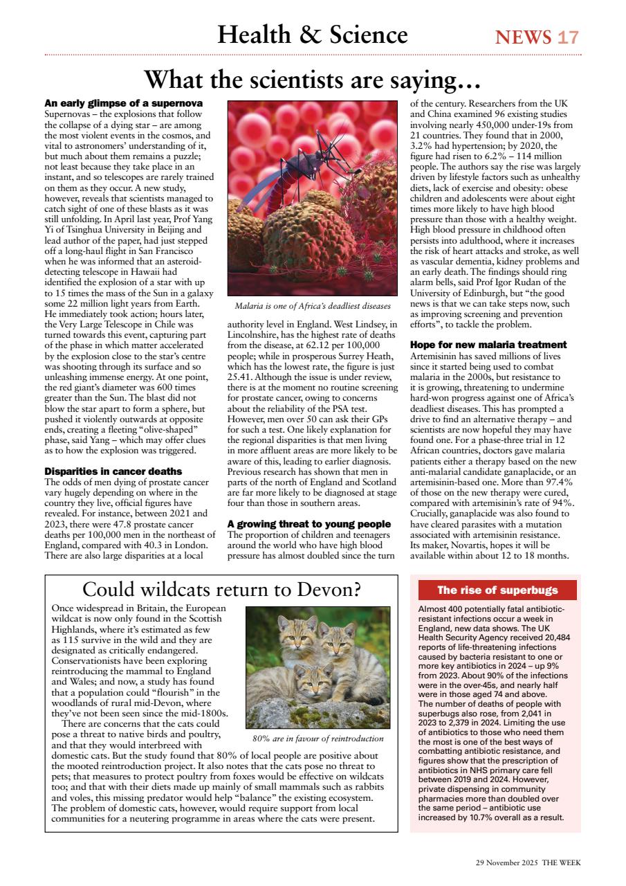 The Week Preview Pages