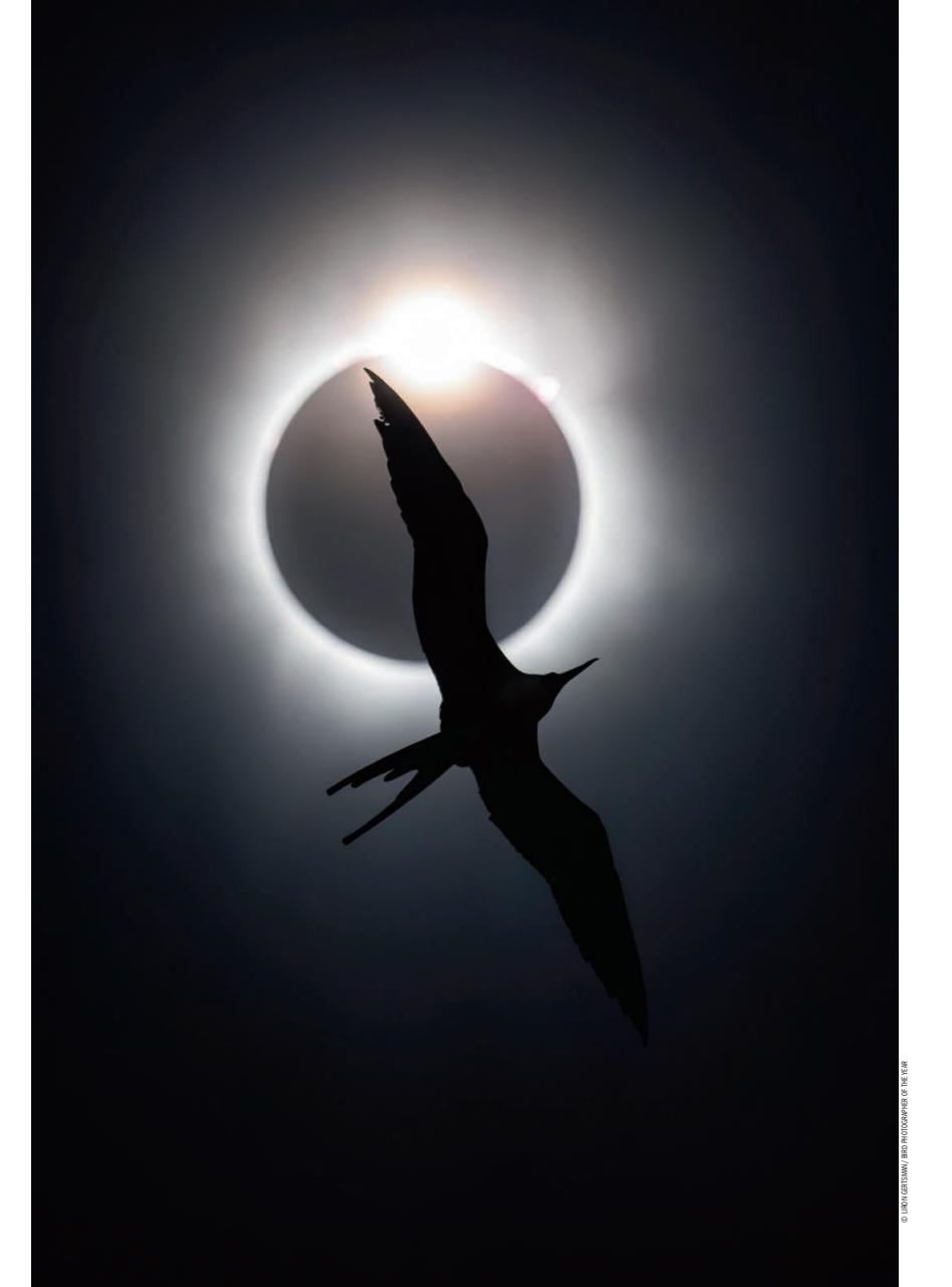 Amateur Photographer Preview Pages