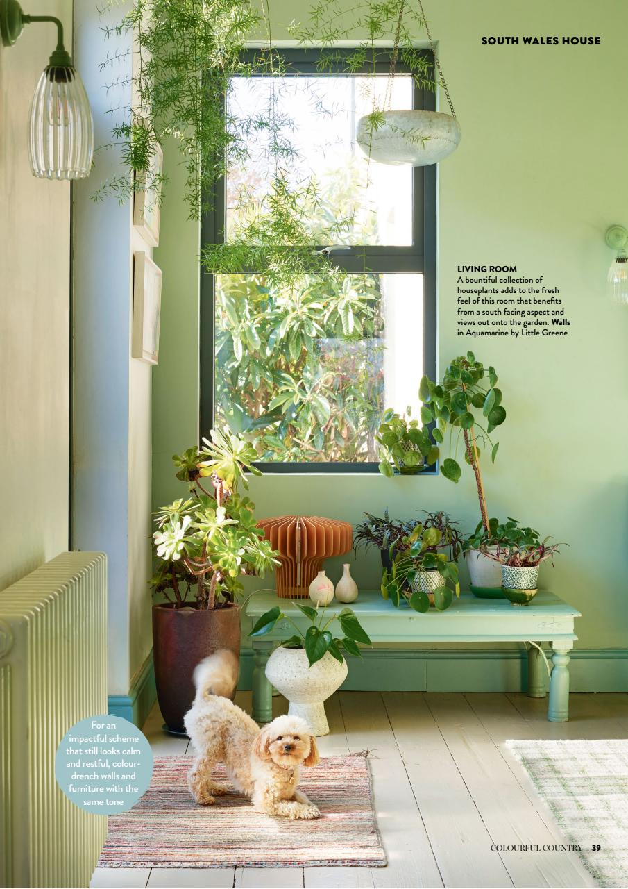 Home Interests Bookazine Preview Pages