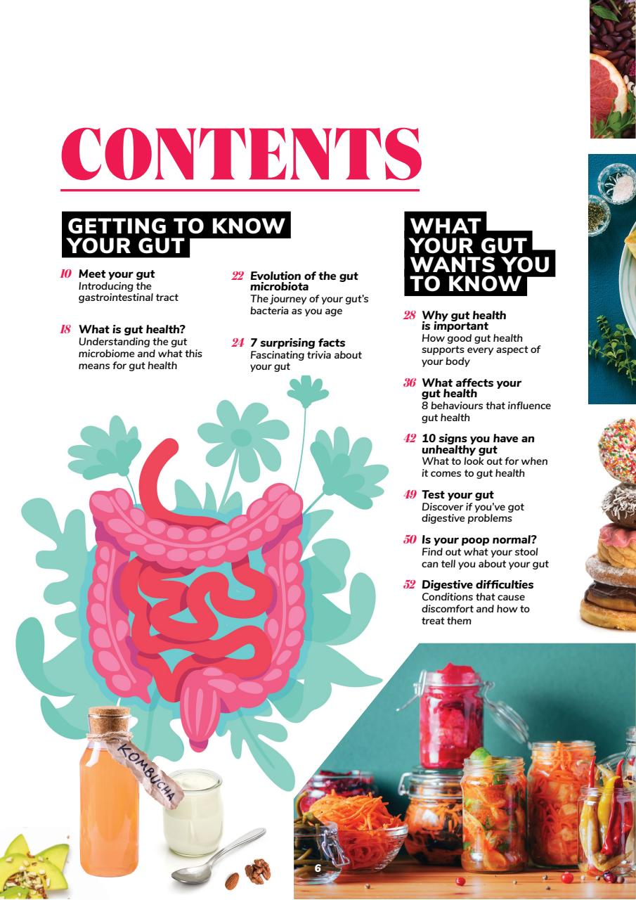 Lifestyle Bookazine Preview Pages