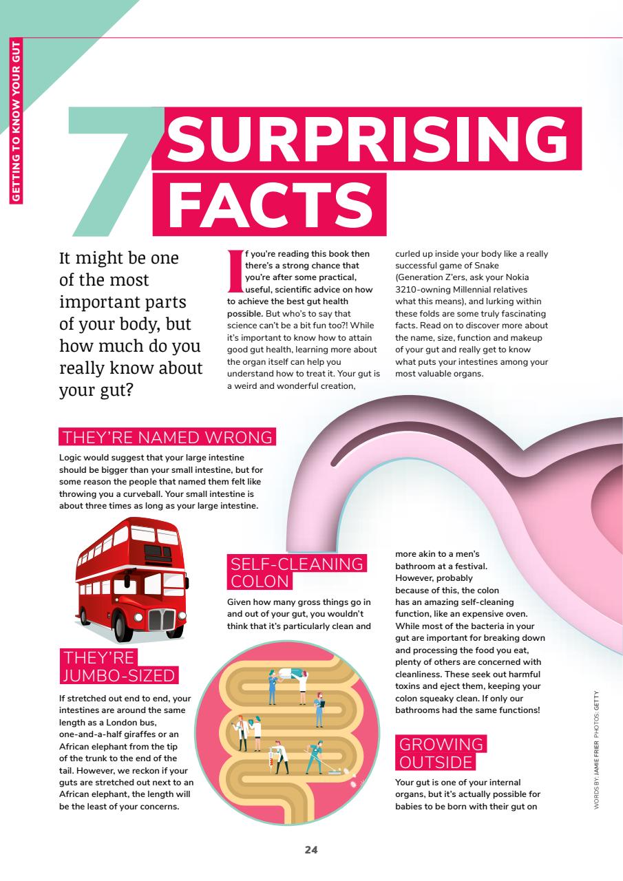 Lifestyle Bookazine Preview Pages