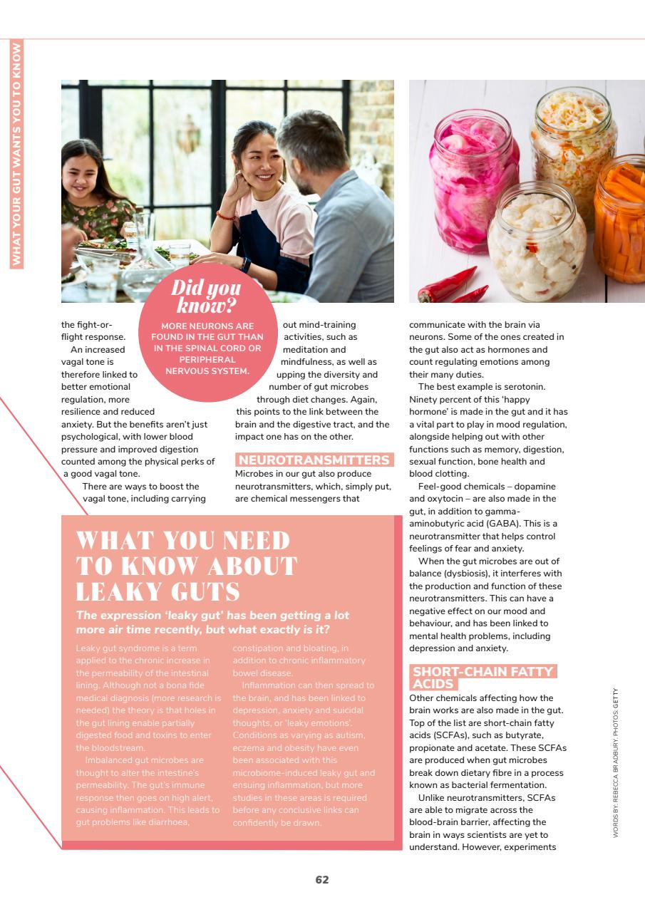 Lifestyle Bookazine Preview Pages