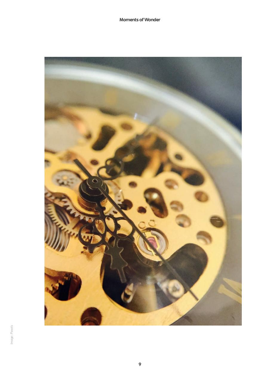 WellBeing Preview Pages