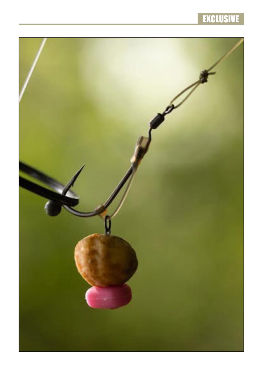 Big Carp Magazine Preview Pages