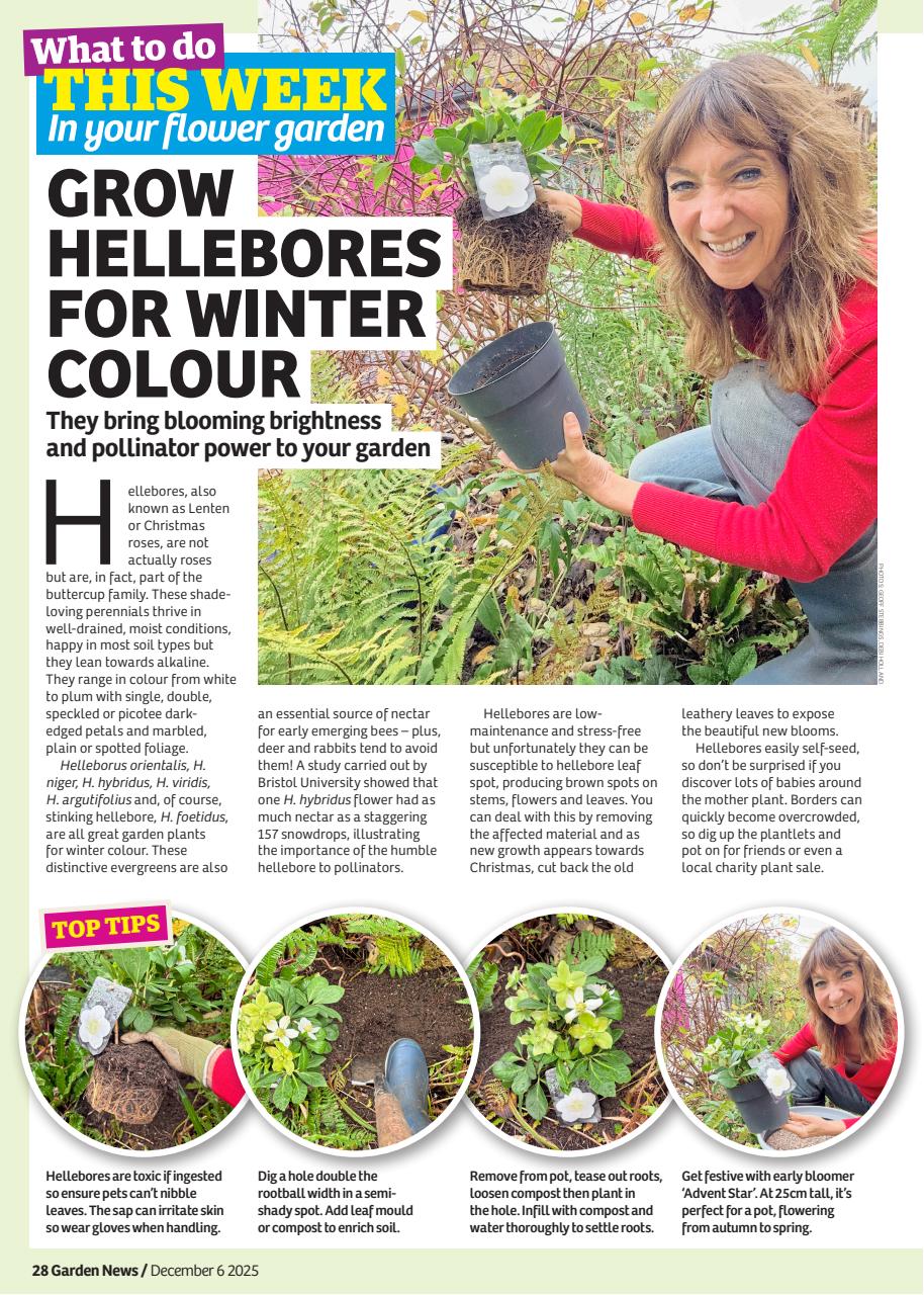 Garden News Preview Pages