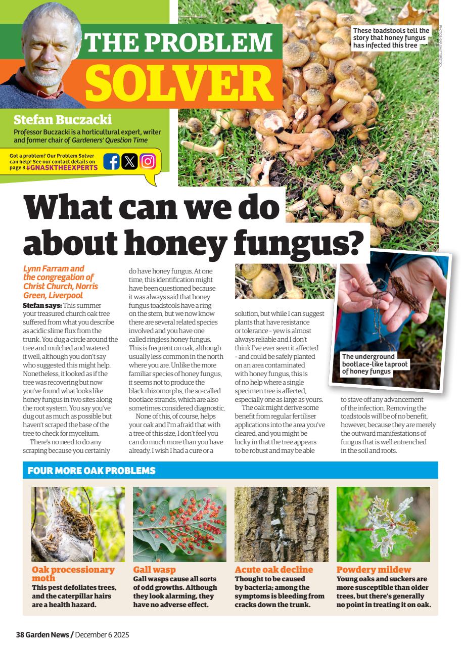 Garden News Preview Pages