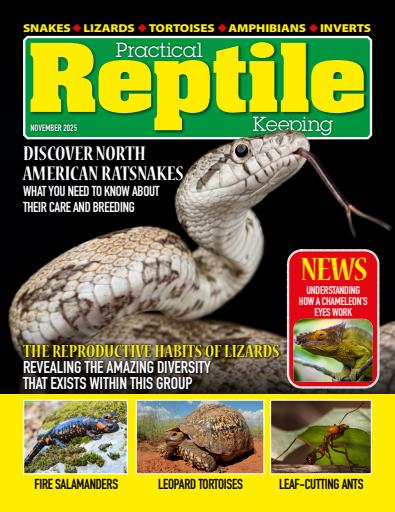Practical Reptile Keeping issue 