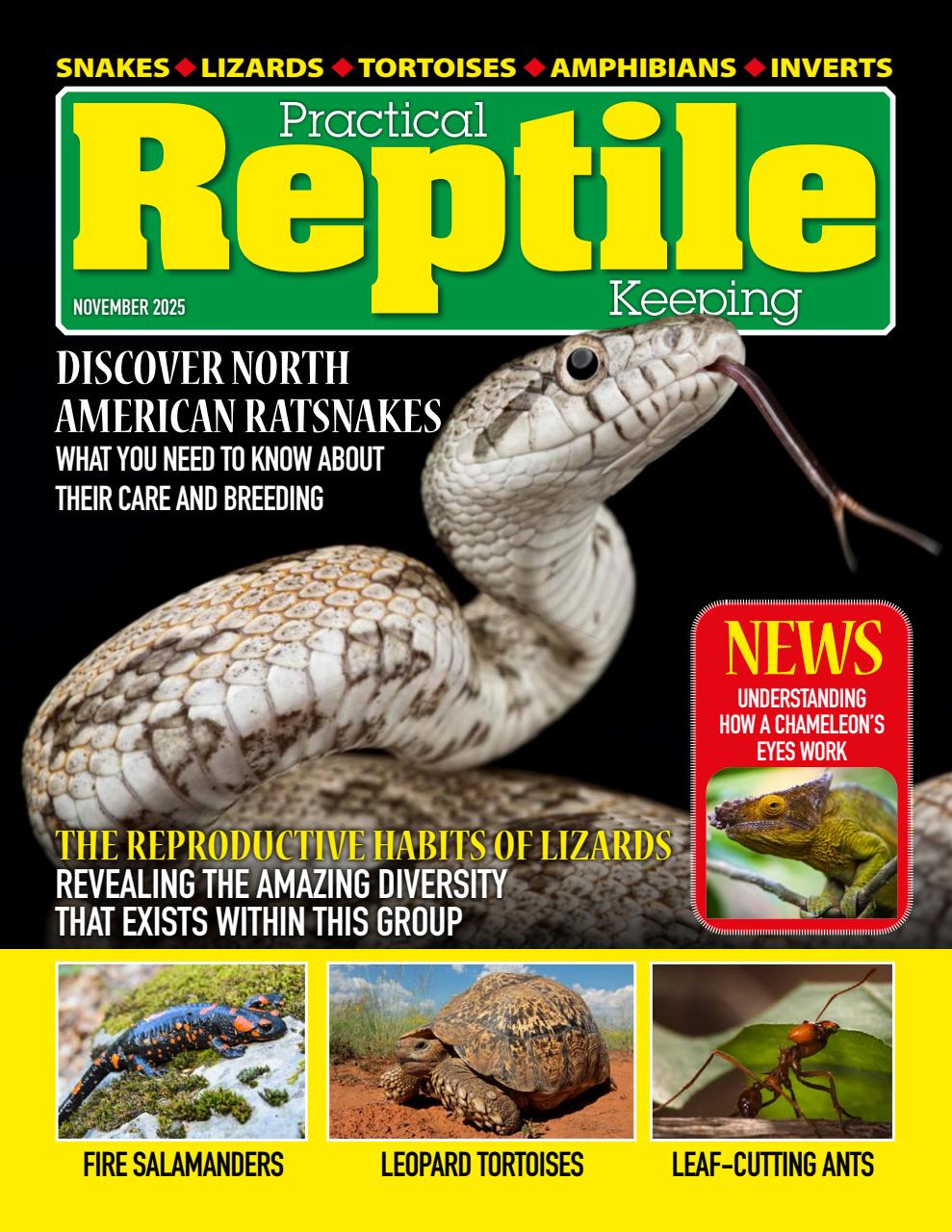 Practical Reptile Keeping Preview Pages