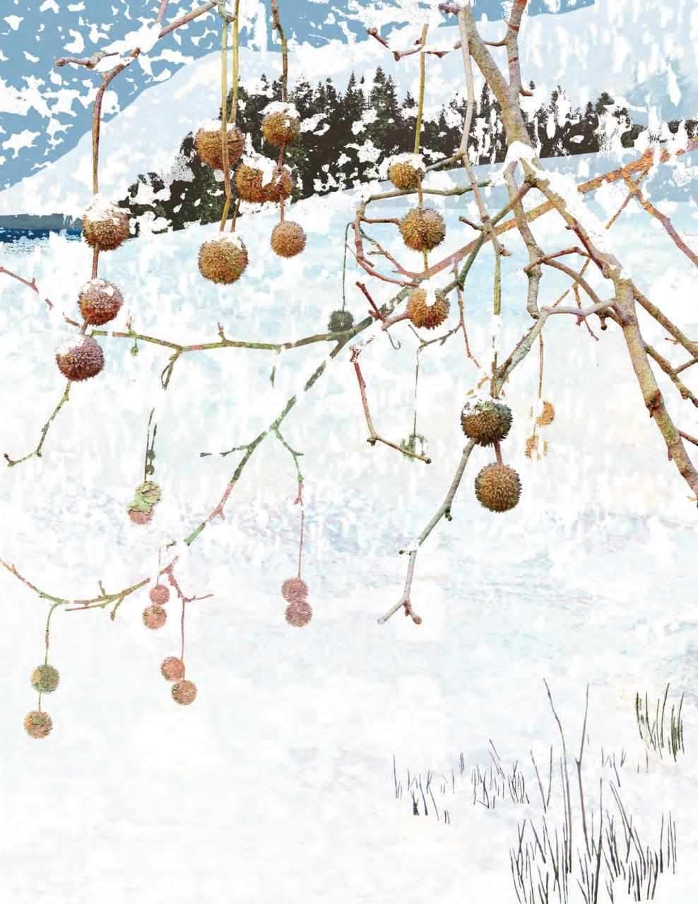 Breathe Preview Pages