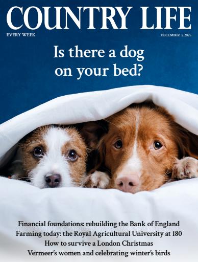Country Life issue 