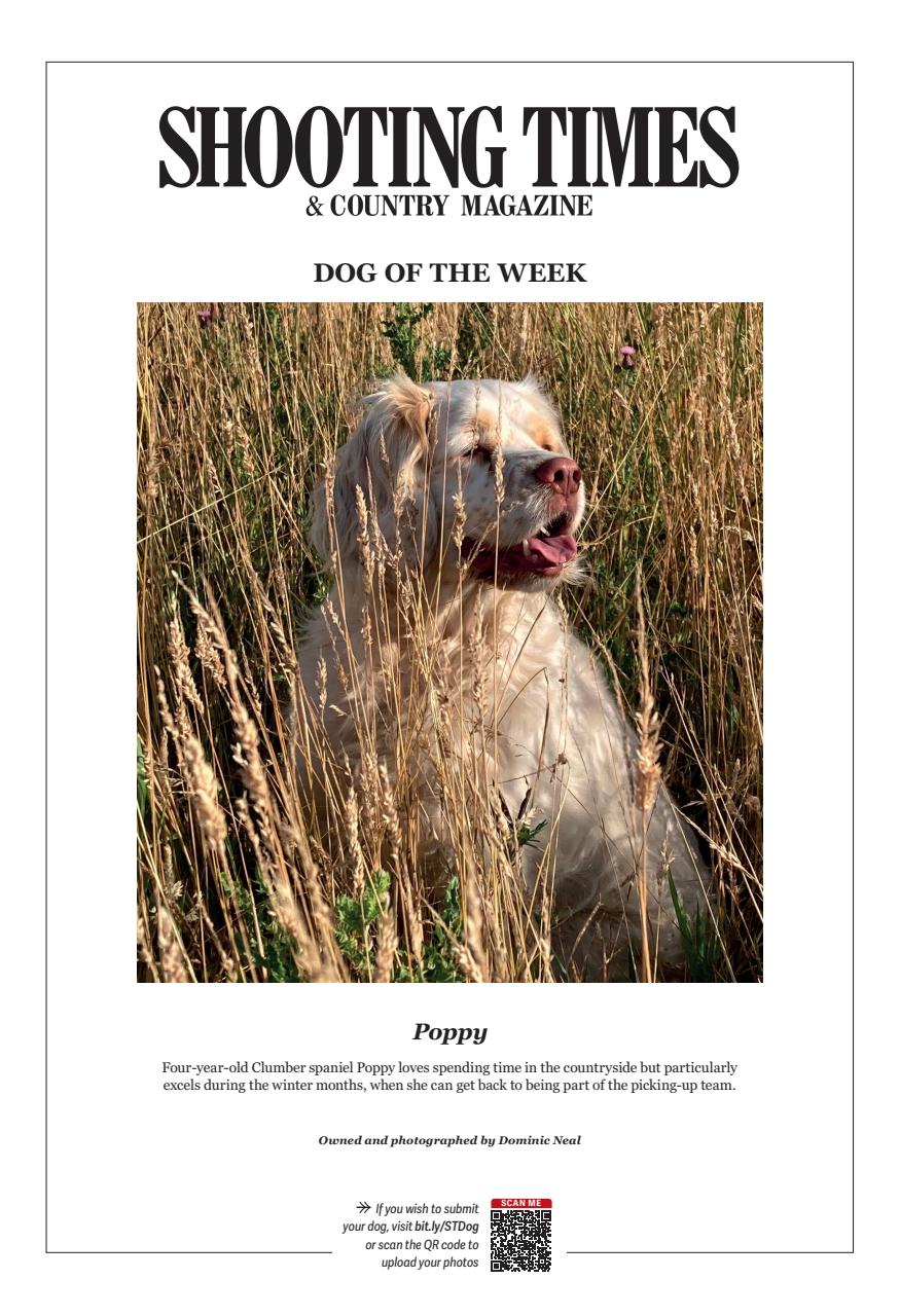 Shooting Times & Country Preview Pages