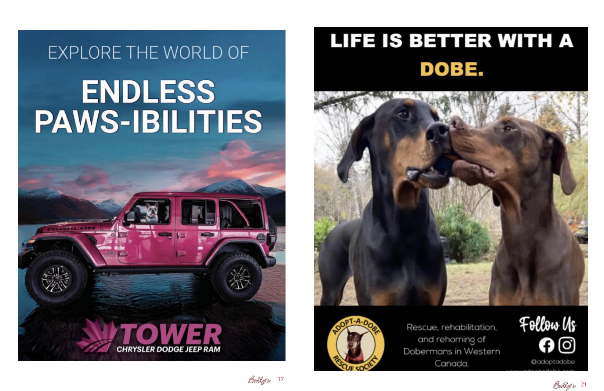 Bully’s - The Bulldog Magazine Preview Pages