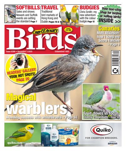 Cage & Aviary Birds issue 3rd December 2025