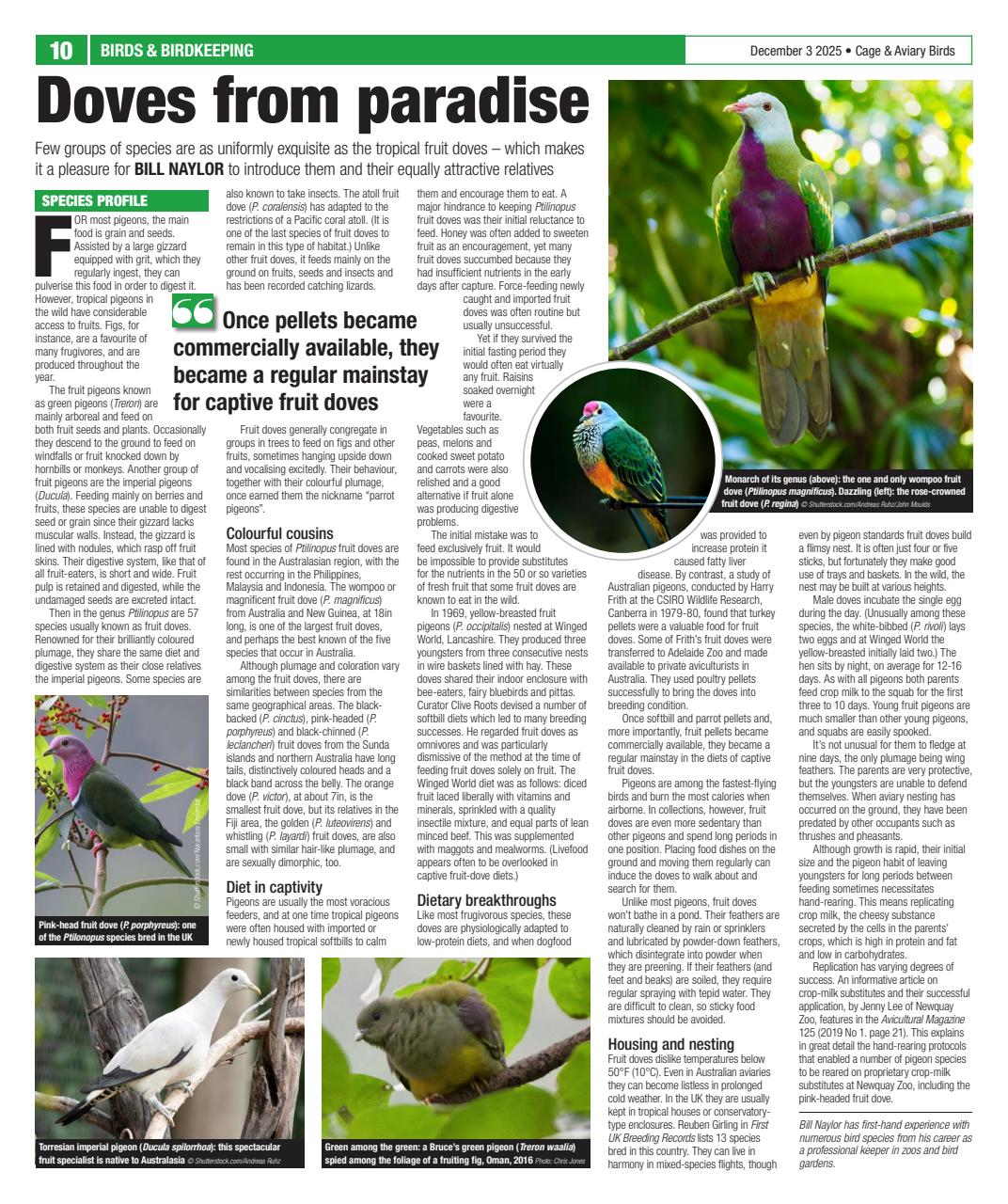 Cage & Aviary Birds Preview Pages