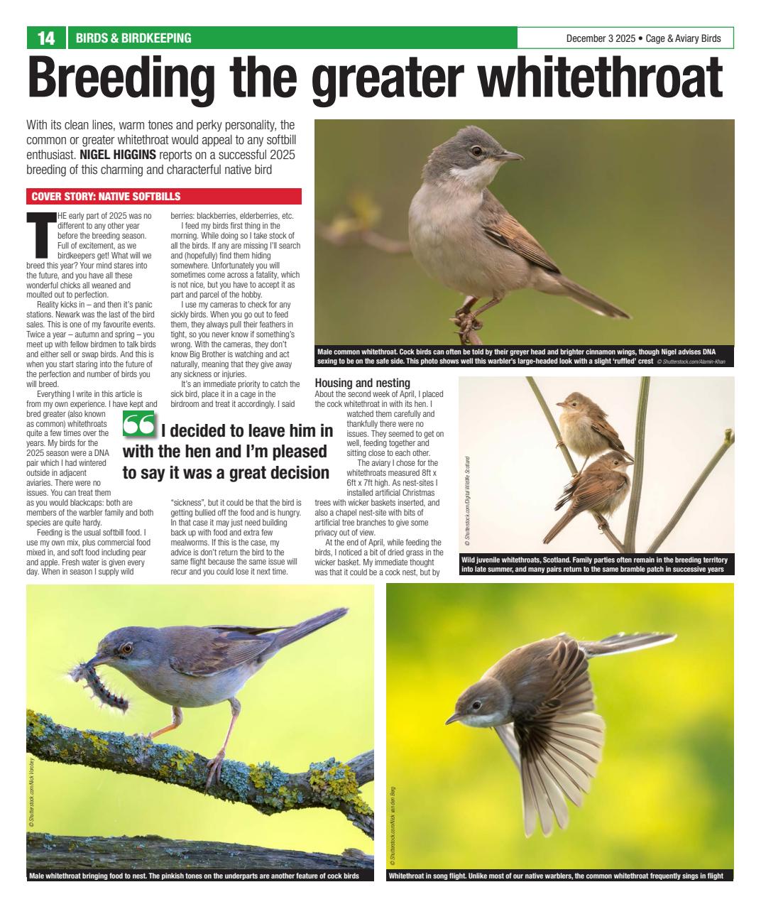 Cage & Aviary Birds Preview Pages