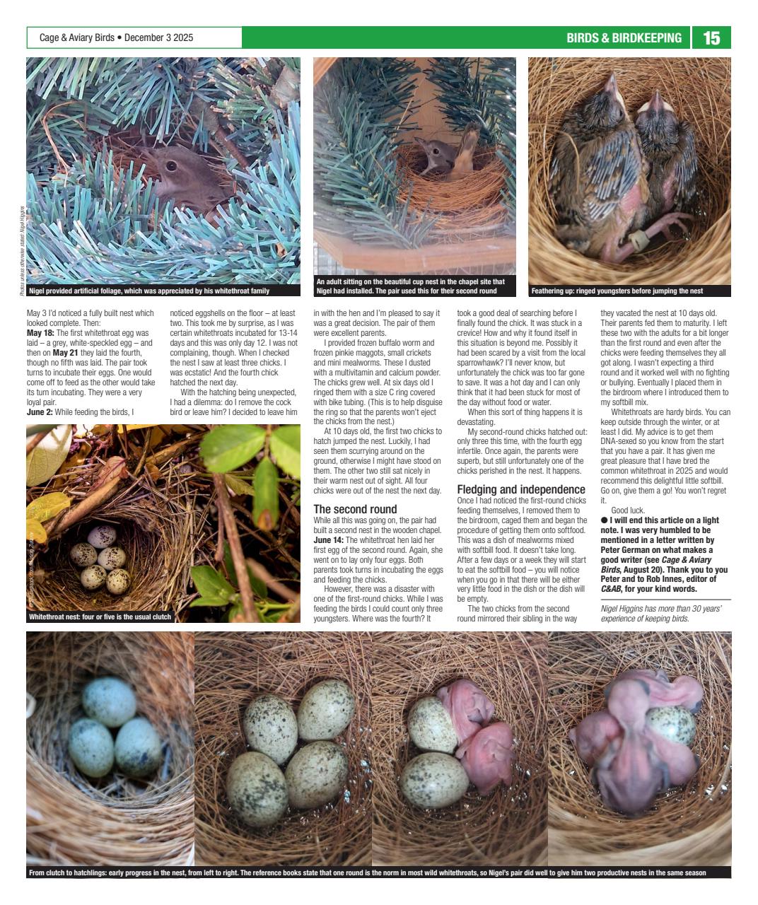 Cage & Aviary Birds Preview Pages