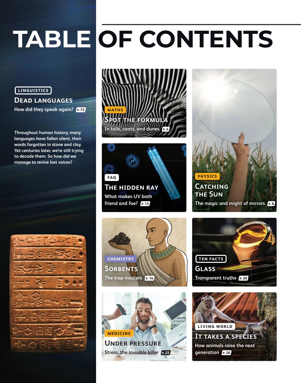 OYLA Magazine Preview Pages