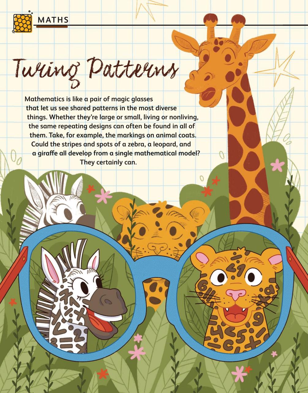 OYLA Magazine Preview Pages