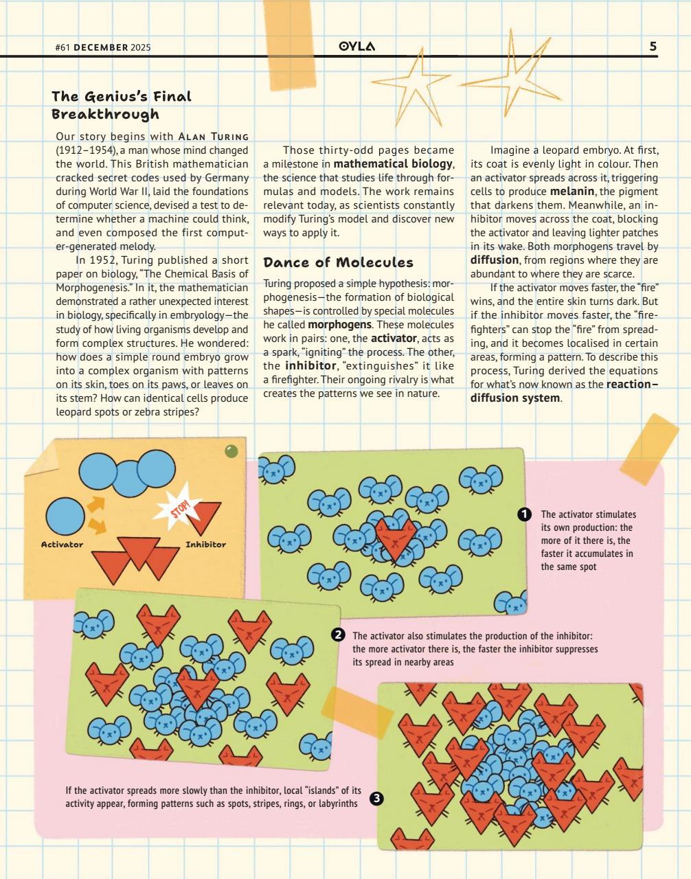 OYLA Magazine Preview Pages