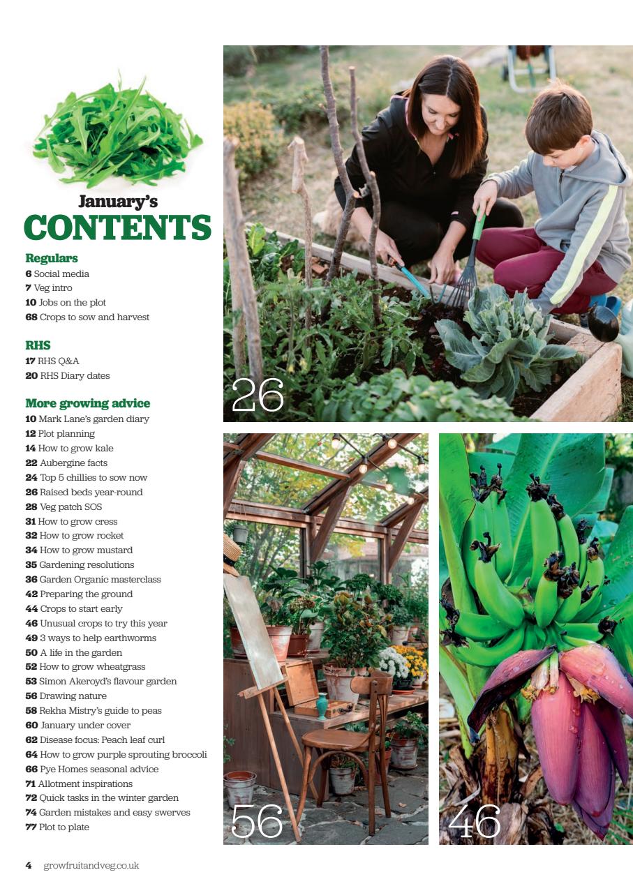 Grow Your Own Preview Pages