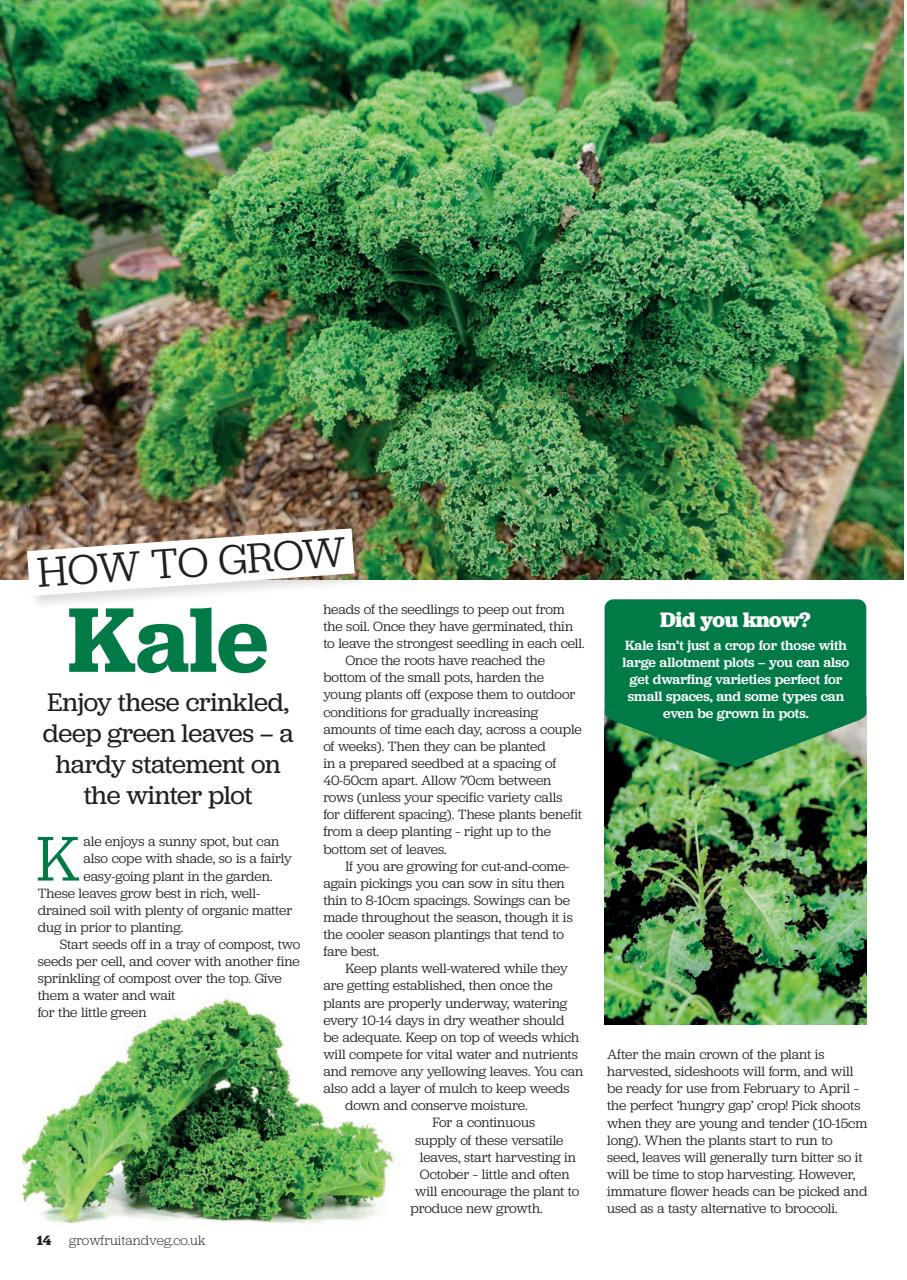 Grow Your Own Preview Pages