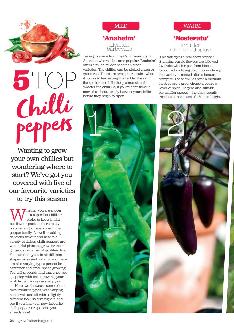 Grow Your Own Preview Pages