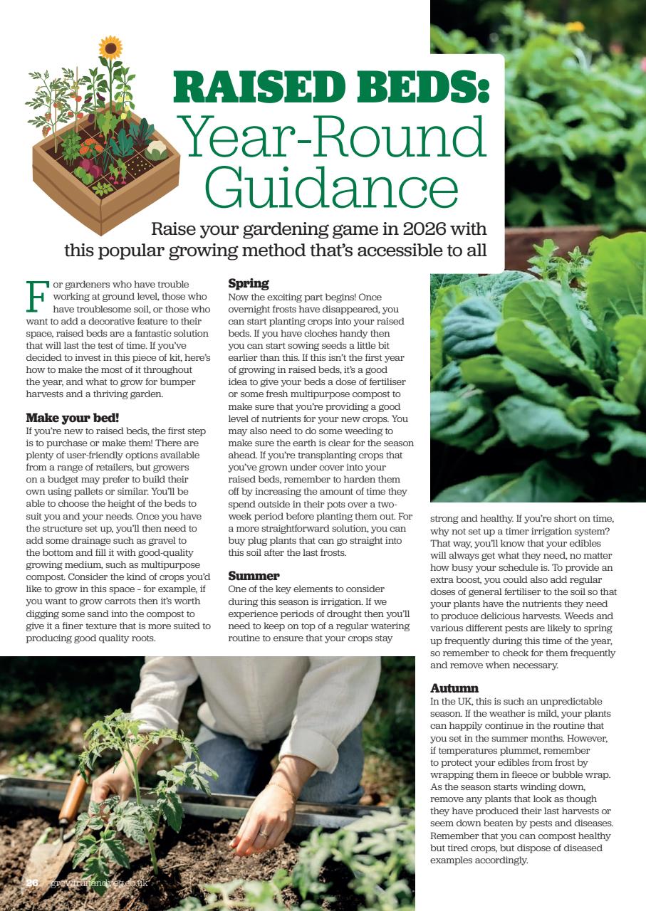 Grow Your Own Preview Pages