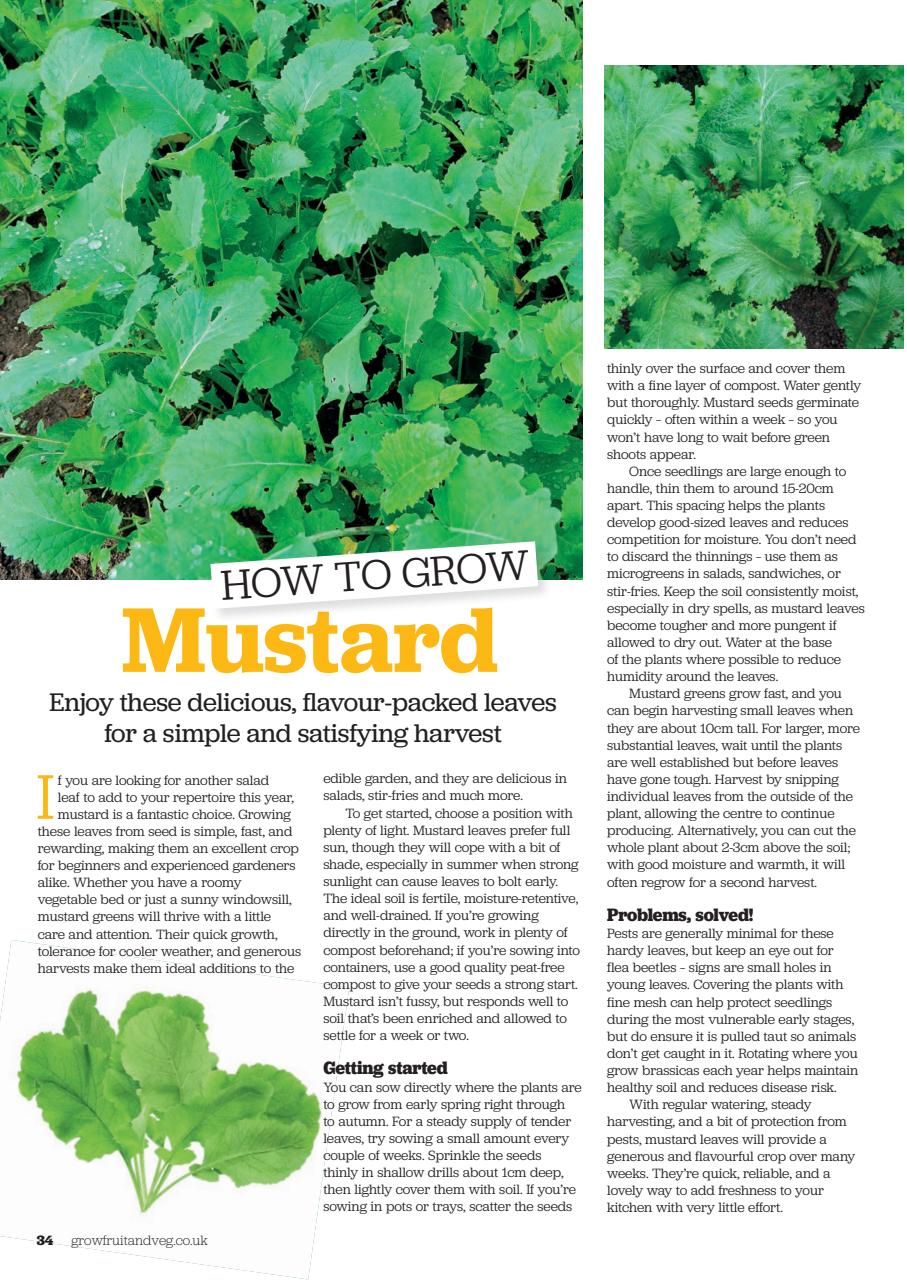 Grow Your Own Preview Pages