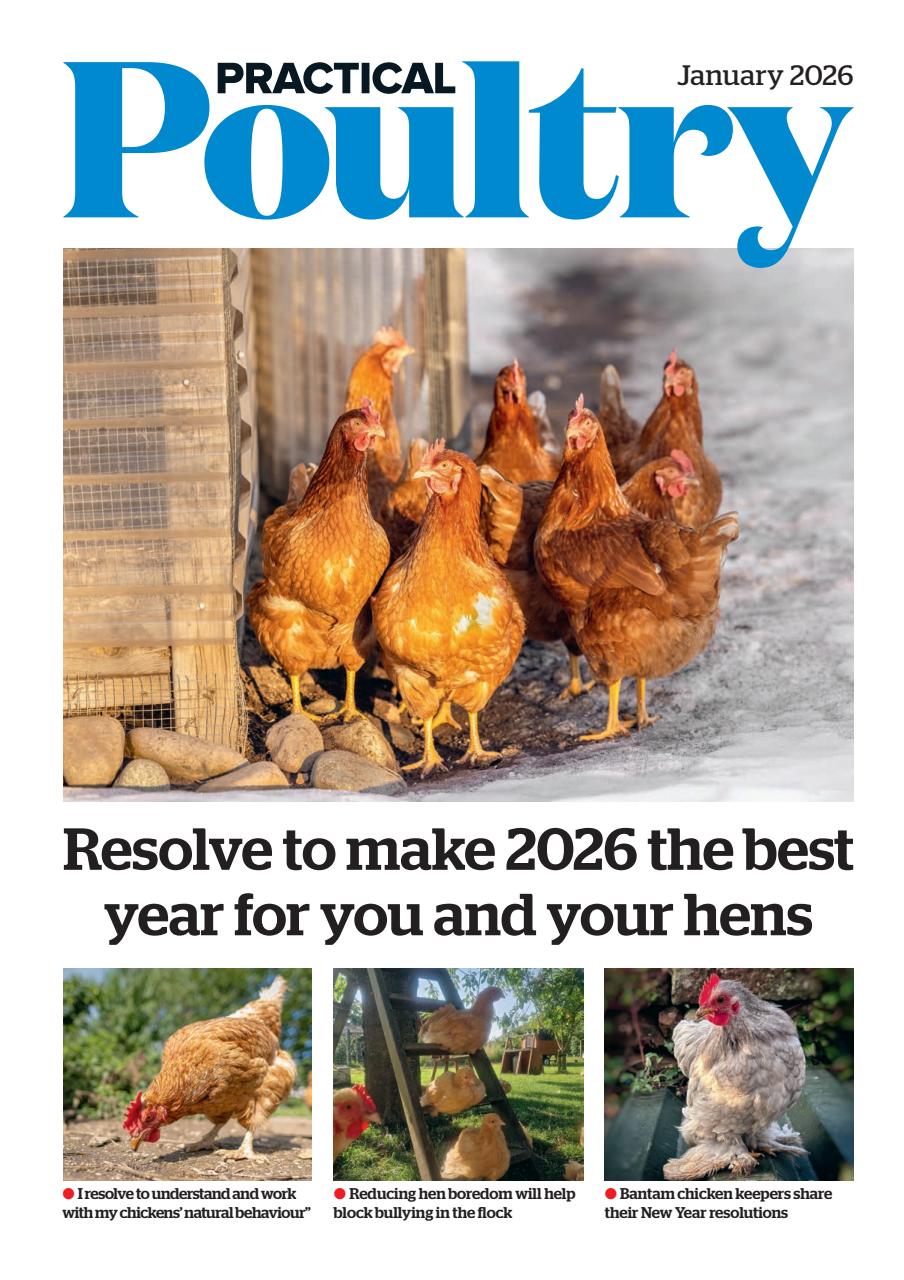 The Country Smallholder Preview Pages