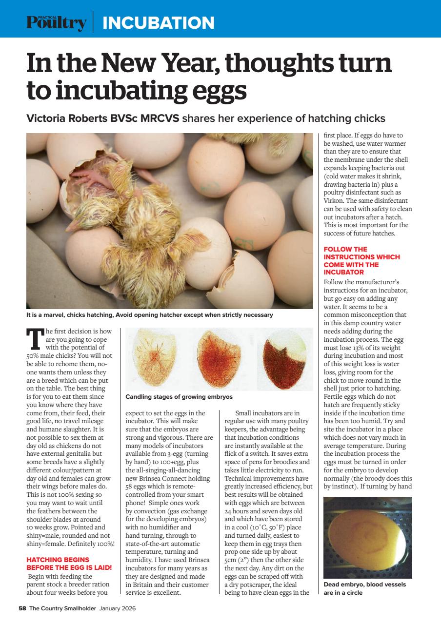 The Country Smallholder Preview Pages