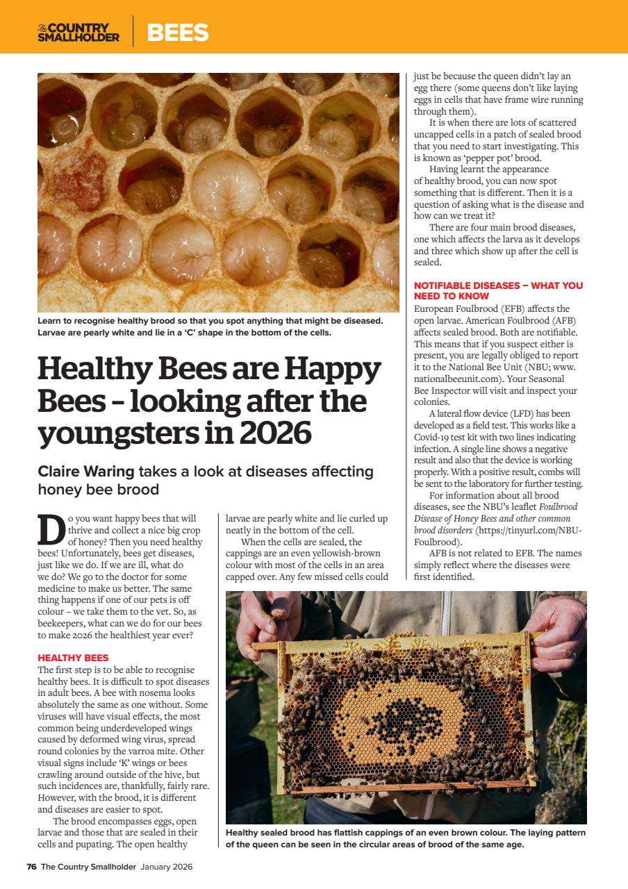 The Country Smallholder Preview Pages