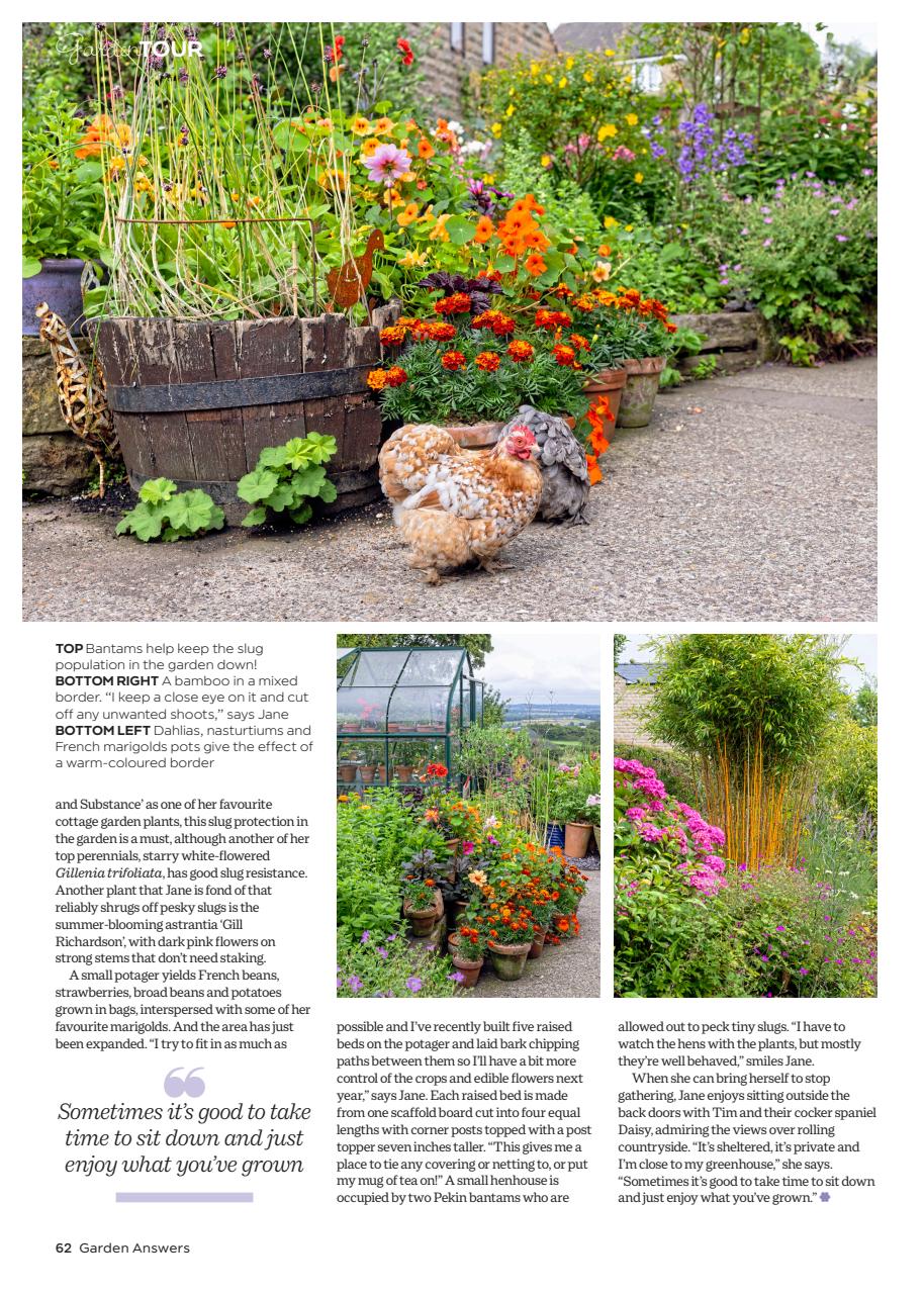 Garden Answers Preview Pages