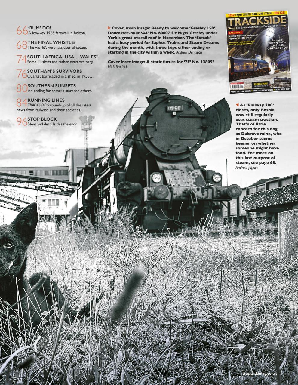 Trackside Preview Pages