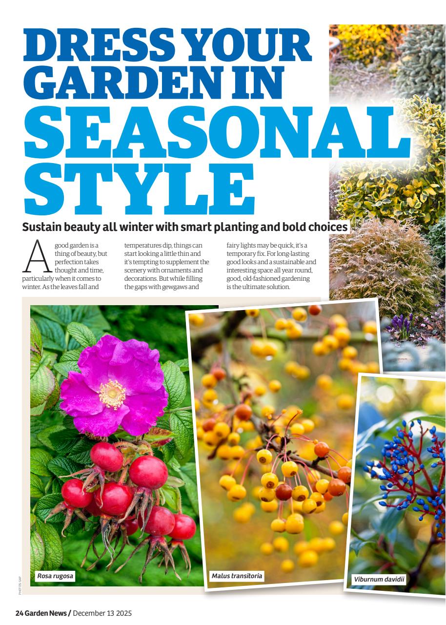 Garden News Preview Pages