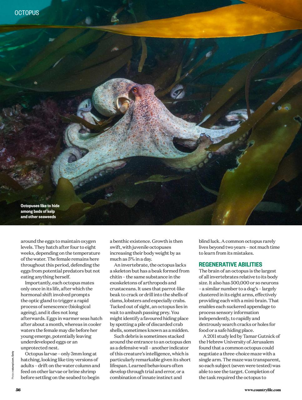 BBC Countryfile Magazine Preview Pages