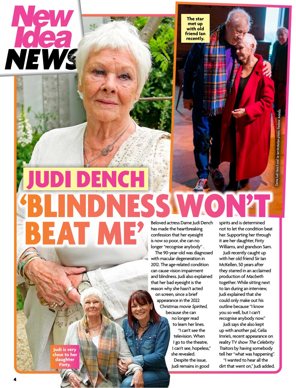 New Idea Preview Pages