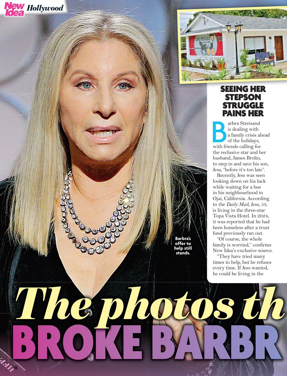 New Idea Preview Pages