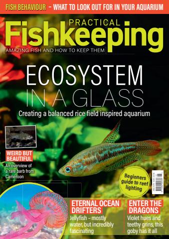 Practical Fishkeeping issue January 2026
