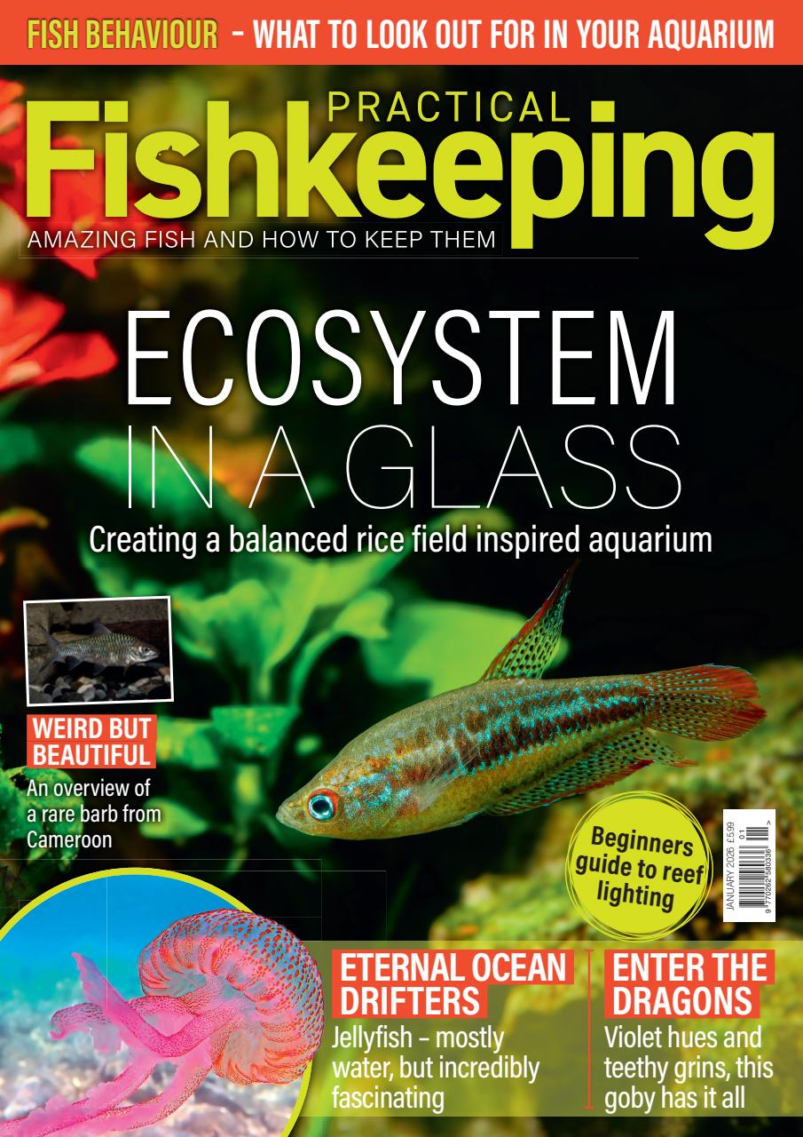 Practical Fishkeeping Preview Pages