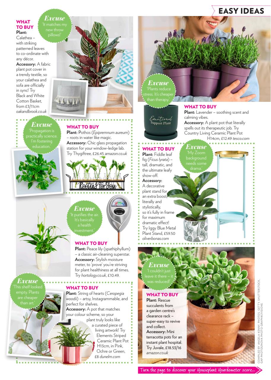 Modern Gardens Preview Pages
