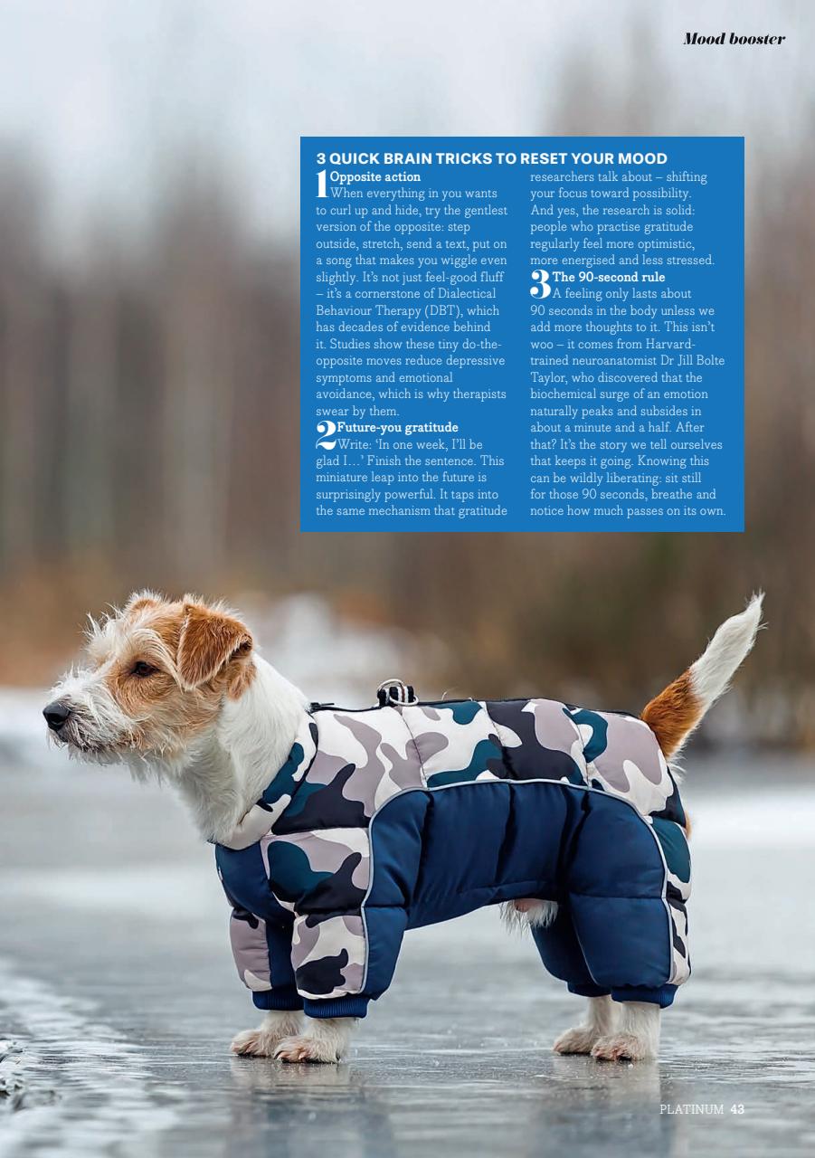 Platinum Preview Pages