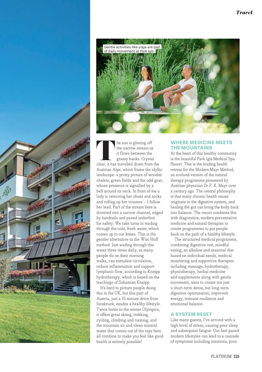 Platinum Preview Pages