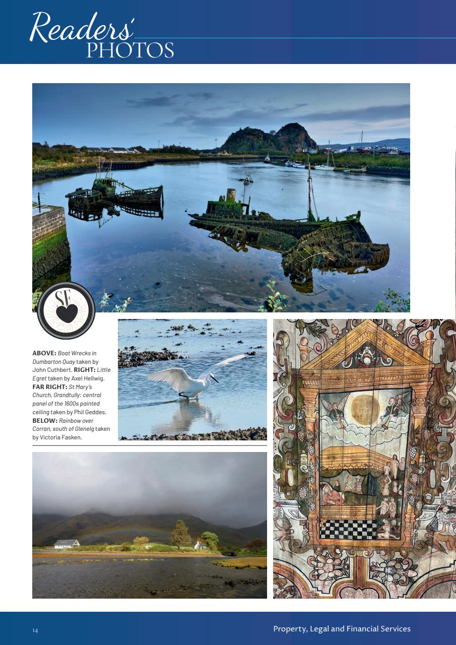 Scottish Field Preview Pages