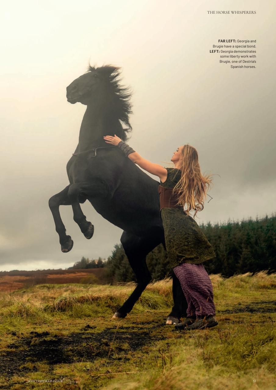 Scottish Field Preview Pages