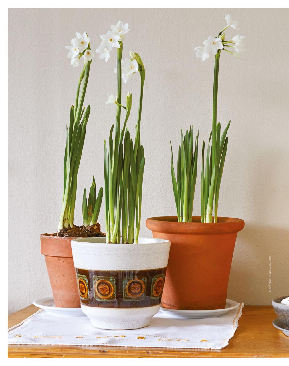 The Simple Things Preview Pages