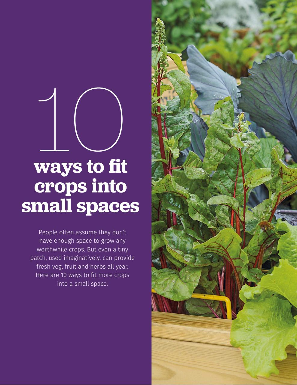 BBC Gardeners’ World Magazine Preview Pages