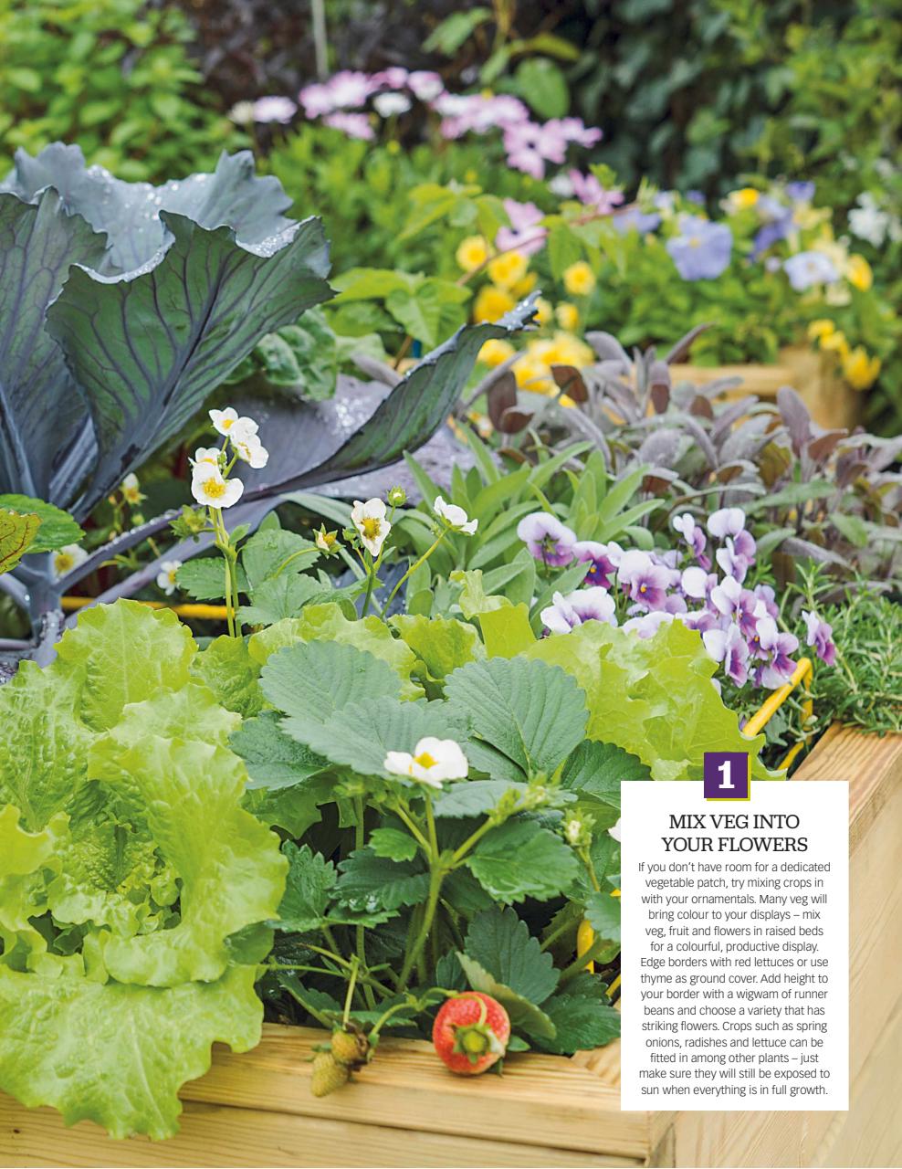 BBC Gardeners’ World Magazine Preview Pages